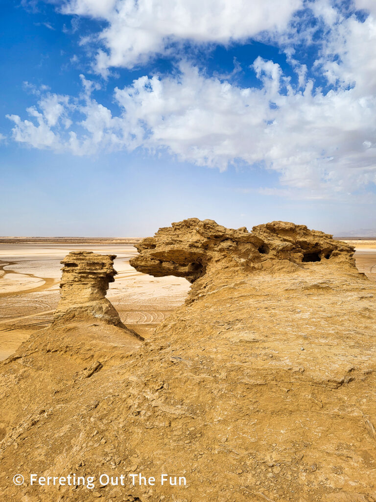 Ong Jemal, the camel's neck rock formation  in the Chott el Gharsa salt flat, Tunisia