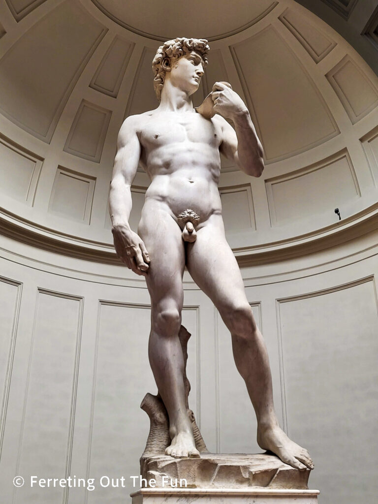 Michelangelo's David is one of the greatest sculptures in the world. You can see it at Galleria dell'Accademia in Florence.