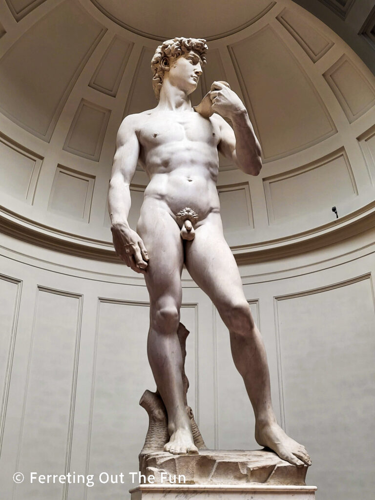 Michelangelo's David is one of the greatest sculptures in the world. You can see it at Galleria dell'Accademia in Florence.