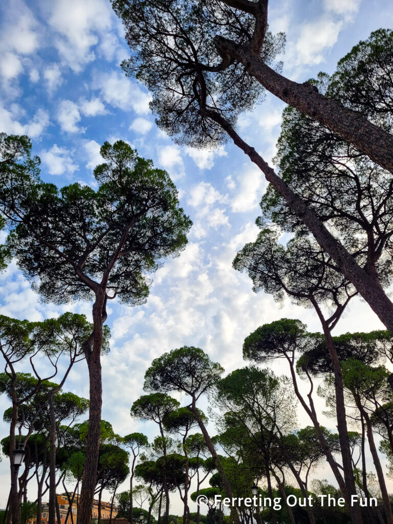 Villa Borghese Park Rome